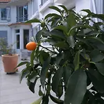 B&B Brevocean Calme Cote Atlantique 3*