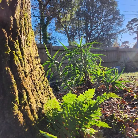 Brevocean Calme Cote Atlantique 3* Saint-Brévin-lʼOcéan