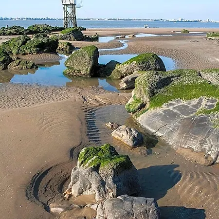 Brevocean Calme Cote Atlantique Frühstückspension