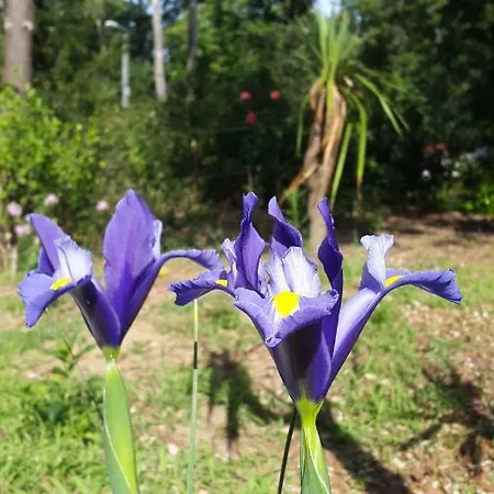 Brevocean Chb Calme Cote Atlantique B&B