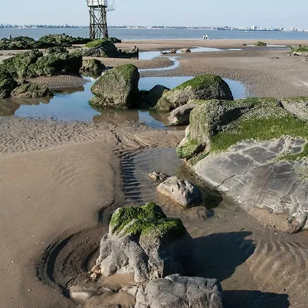 Bed & Breakfast Brevocean Chb Calme Cote Atlantique *
