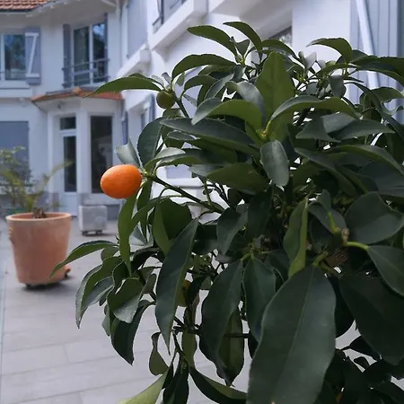 Bed & Breakfast Brevocean Chb Calme Cote Atlantique 3*