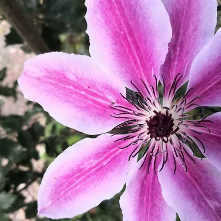 Brevocean Chb Calme Cote Atlantique Bed & Breakfast