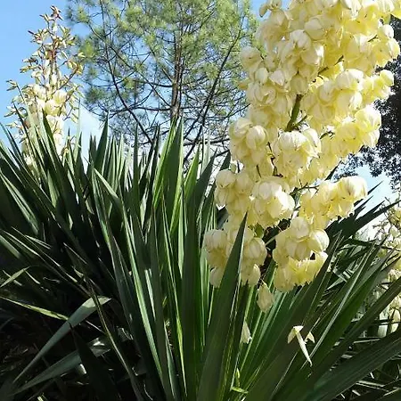 B&B Brevocean Chb Calme Cote Atlantique Saint-Brévin-lʼOcéan
