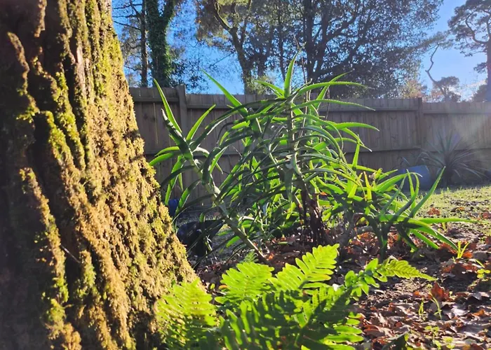 Brevocean Calme Cote Atlantique 3* Saint-Brévin-lʼOcéan