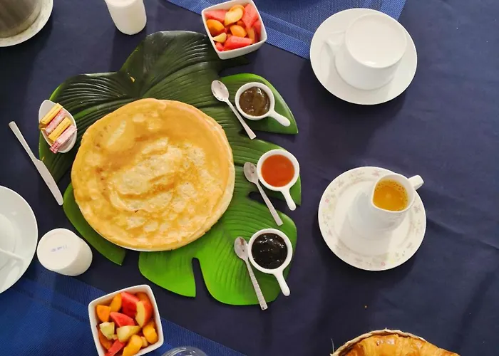 Brevocean Calme Cote Atlantique Panzió 3*