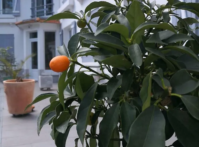 Panzió Brevocean Calme Cote Atlantique 3*