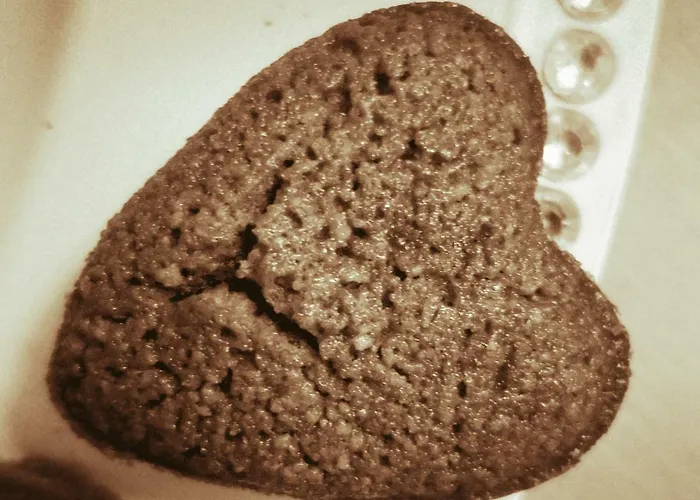 Brevocean Calme Cote Atlantique