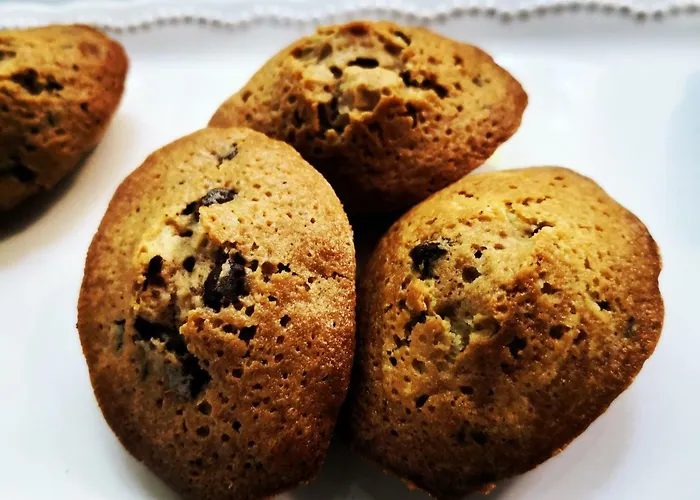 Brevocean Calme Cote Atlantique Panzió 3*