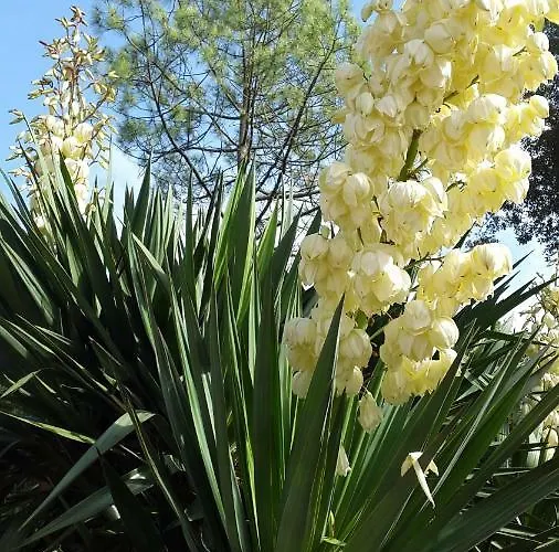 Panzió Brevocean Calme Cote Atlantique Saint-Brévin-lʼOcéan